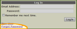 Forgot password link: located at the bottom left corner of the login panel.